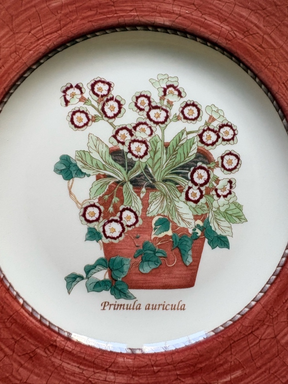 Wedgwood (3) Sarah’s Garden- 1997 Floral Accent salad Plates - Made in England - Picture 7 of 16
